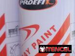 Pintura Spray Dorada y aluminio