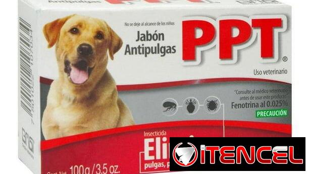 Jabones antipulgas para perros