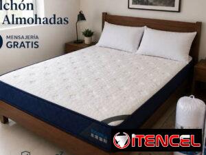 ec106c3290d544b15745c53f1b3189261bd5dff7627c82a38731c8353a31fa5e