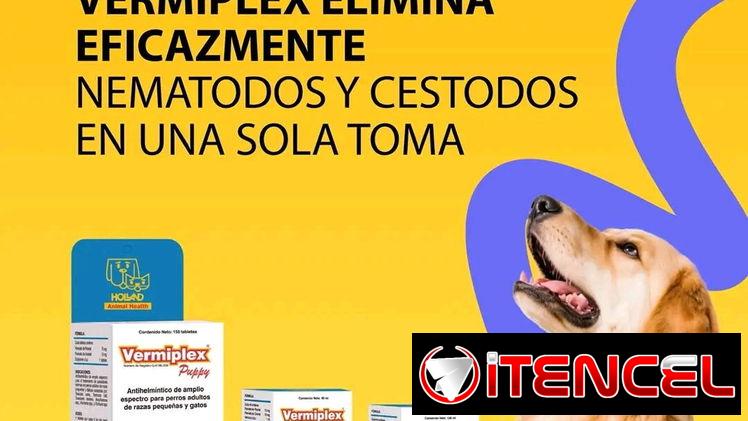 VermiPlex Puppy (antiparasitario interno en suspensión oral)