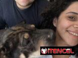 Agencia de viaje “isla pet travel”