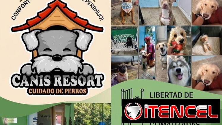 🐾 Hospedaje Seguro y Cariñoso para Perrhijos – Canis Resort (Kinetica)