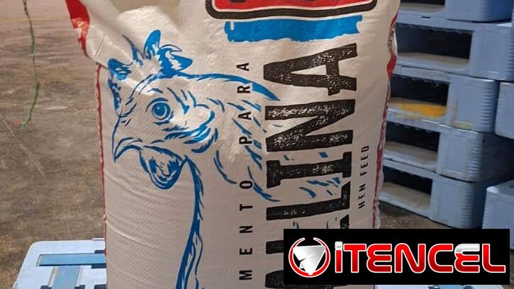 PIENSO DE CEBA DE CERDO + GALLINAS PONEDORAS 😱🐷🐔