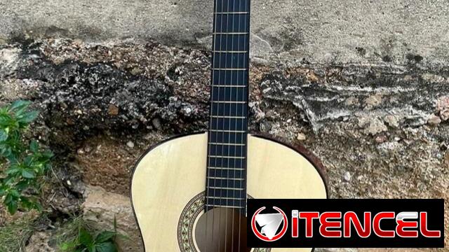 Guitarra con soporte de madera