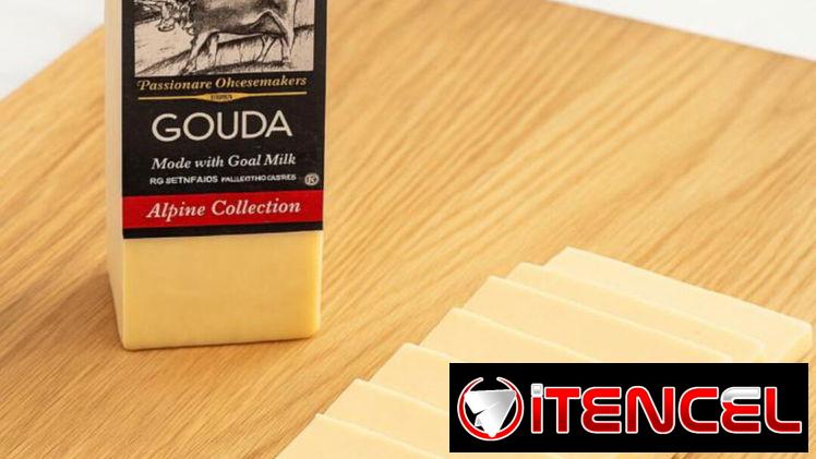 Queso Gouda 3kgr