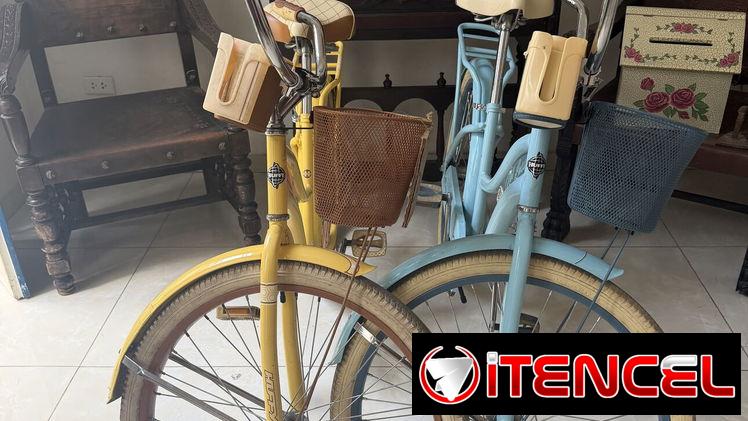Bicicletas de Paseo