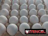 Huevos Blancos cartón de 30 u