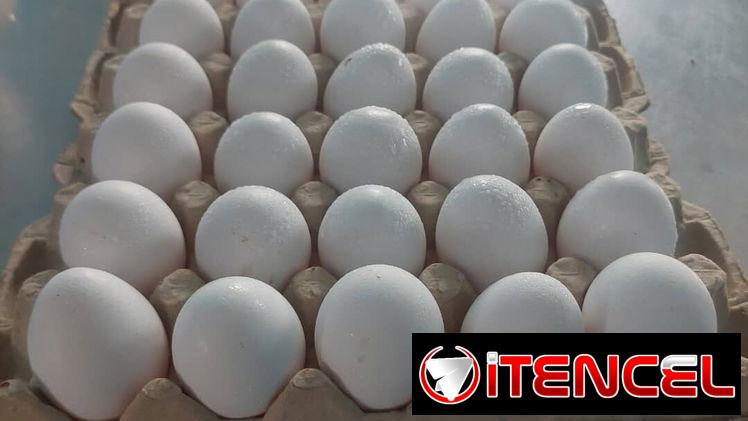 Huevos Blancos cartón de 30 u