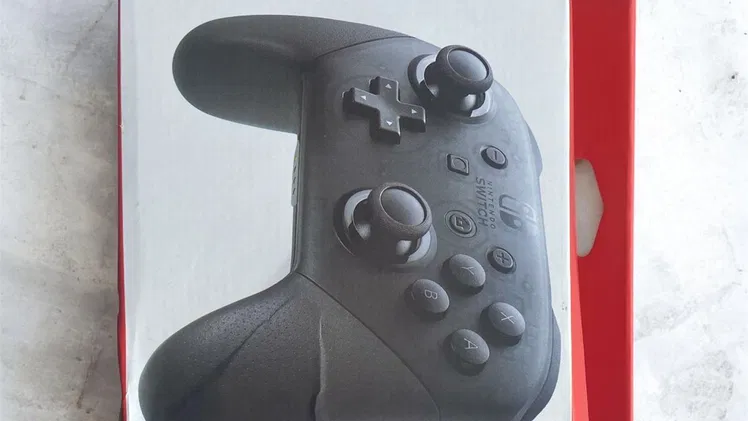 Mando Pro de Nintendo Switch 1