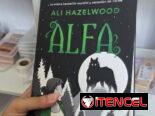 Libros, plumones, marcapaginas, portaminas