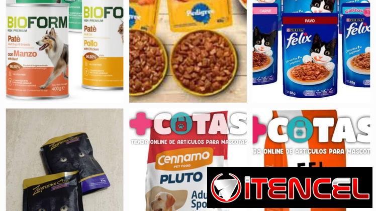Pienso para perros y gatos