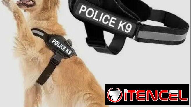 Percheras para 🦮+Agarre Seguro ideal para el disfrute del paseo🐕‍🦺