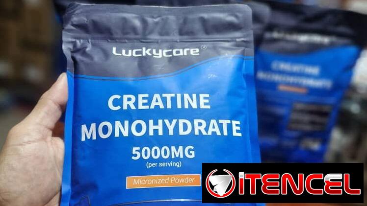 CREATINA MONOHIDRATADA Y MICRONIZADA 5000MG 100 SERVICIOS