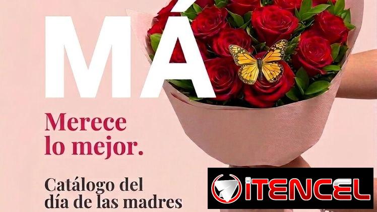 Flores peluches y regalos para Mamá envíos