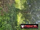 En venta finca en jovellanos con casa de mampostería