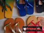 Chancletas Havaiana