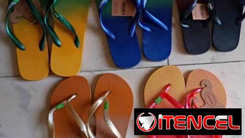 Chancletas Havaiana
