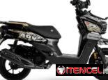 MOTOR ACORARAZADA 150 CC