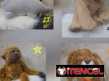 Peluches variados para los peques de la casa