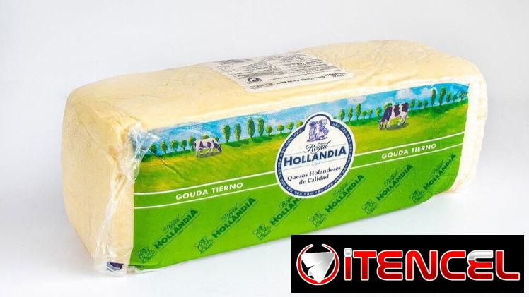 Queso Gouda Hollandia 3kg