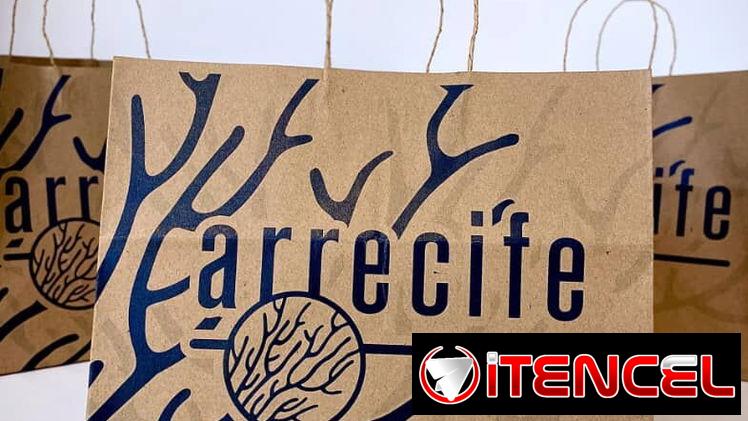 BOLSAS DE PAPEL CRAFT // CARTUCHOS // CENTRAL ESTUDIO EMPAQUES