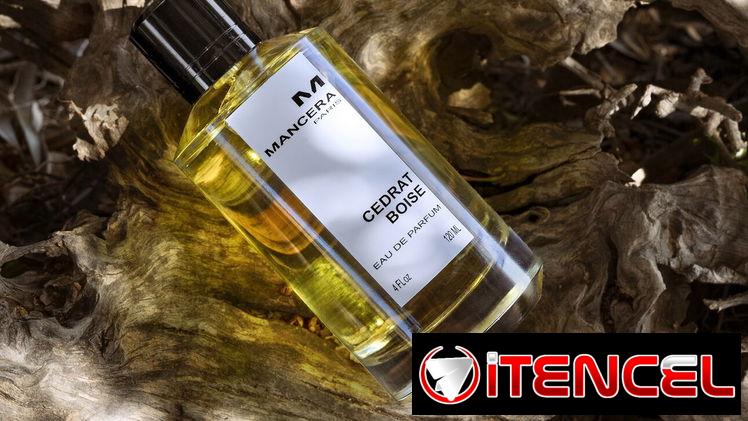 PERFUMERÍA / PERFUMES ORIGINALES / PERFUME NICHO VEDADO