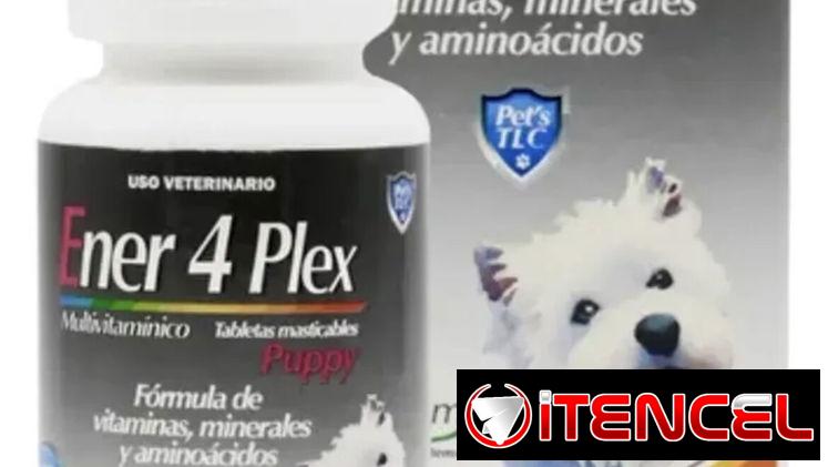 Complejo vitamínico para perros/Multivitaminas para perros
