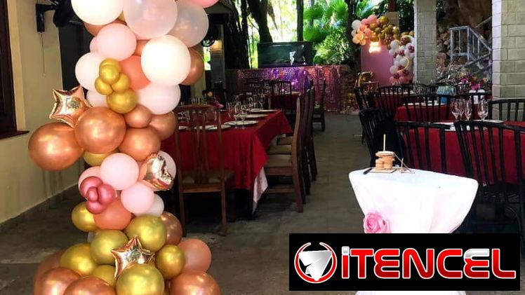 Bodas, Quince, Cumpleaños, Babyshower y más