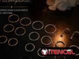 Piercings y Perforaciones