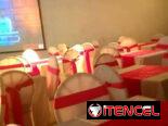 Bodas elegantes y bellas