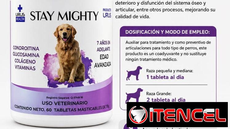 Condroitina + Glucosamina para Perros Adultos