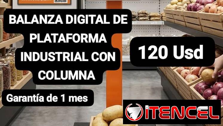 BALANZA DIGITAL DE PLATAFORMA INDUSTRIAL CON COLUMNA, Garantía de 1 mes, Entrega por un mínimo costo adicional para toda