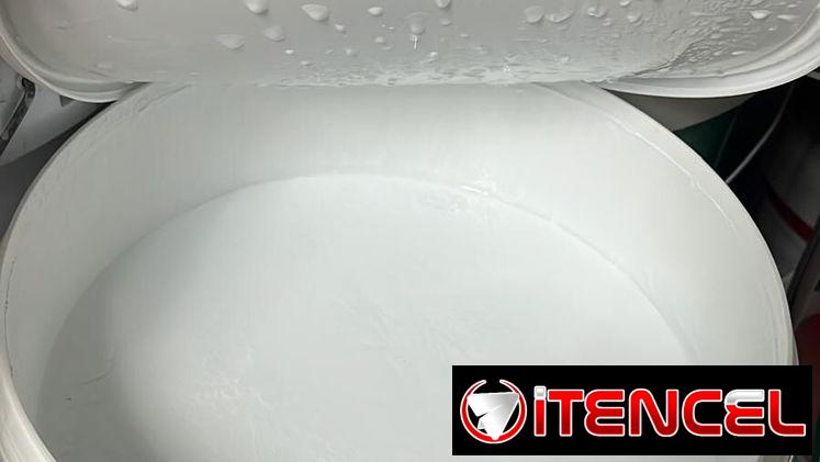 Vinil blanco interior antimoho (20kg) Importada