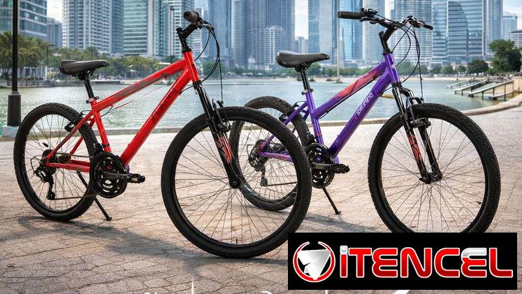 🚴‍♀️ Bicicleta de Montaña 24