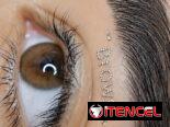 Estudio de Belleza Mels Madus Brows and Lashes (52 /27 y 29) Playa