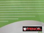 Antena 4g