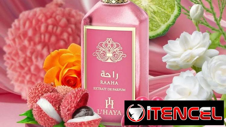 Perfumes Originales. Todos los perfumes a tu disposición.  Diseñador ,Árabe y Nicho. En Stock y por encargos.