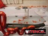RENTA CON JACUZZI VEDADO