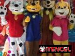 Amigos Disney en Fiestas de Cumpleaños ‼️‼️