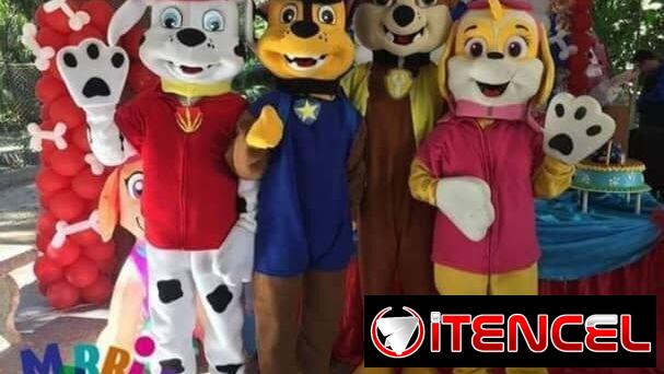 Amigos Disney en Fiestas de Cumpleaños ‼️‼️