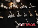 Piercings y Perforaciones
