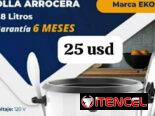 Arroceras