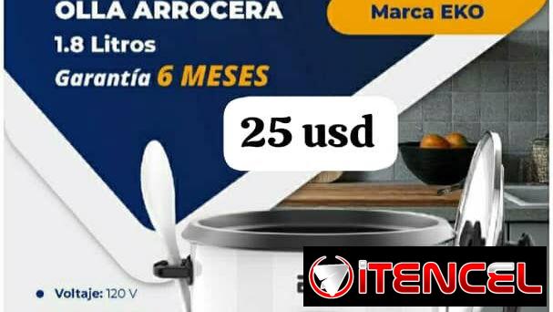 Arroceras