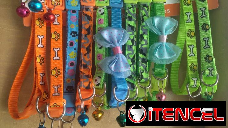 Correas y collares !!