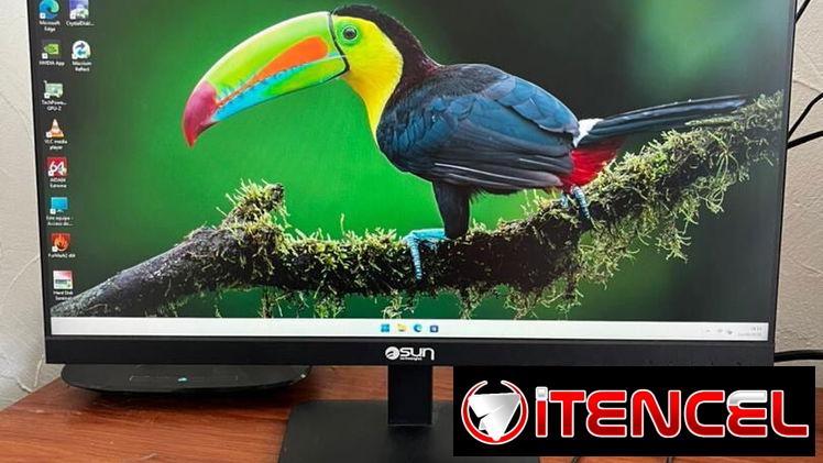 24 pulgadas ips 75hz