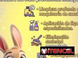 ​🧼 Limpieza Profesional: Muebles, Autos, Alfombras y Más 🧼​