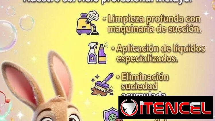 ​🧼 Limpieza Profesional: Muebles, Autos, Alfombras y Más 🧼​
