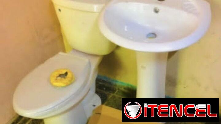 Taza y tanque tapa plástica blanca