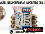 Pienso pienso pienso