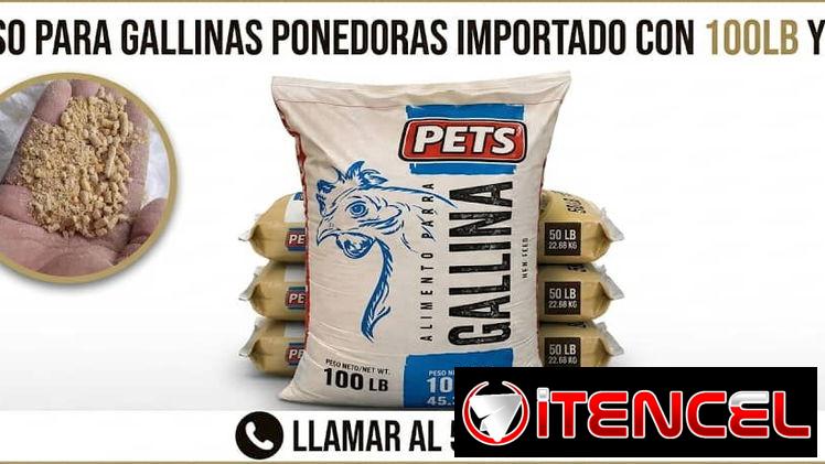 Pienso pienso pienso